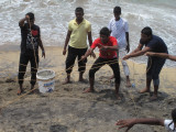 Colombo, along Galle Face Green