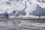Matanuska Glacier