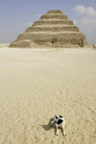 Saqqara