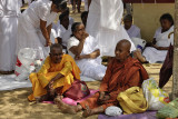 Anuradhapura, Sri Maha Bodhi