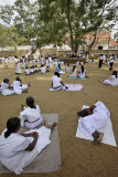 Anuradhapura, Sri Maha Bodhi