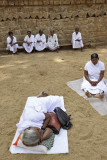 Anuradhapura, Sri Maha Bodhi