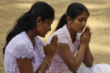 Anuradhapura, Sri Maha Bodhi