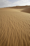 Early morning at the desert