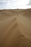 Early morning at the desert
