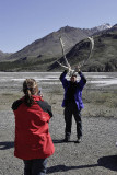 Denali National Park