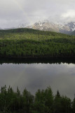 On the way to Matanuska Glacier