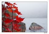 Jordan Pond