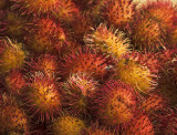 8749 Rambutan aka mamechinos