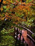 8694 Walkway on Anne of Green Gables