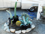 MOST RESORT OWNERS PLANT THE CUSTOMARY CACTUS GARDEN TO HIDE THEIR UTILITY HOOKUPS