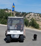 SOME DOG OWNERS HAVE TRAINED THEIR DOGS TO WALK  WITH A GOLF CART