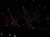 THIS ONE SITE HAD OVER 600,000 LIGHTS