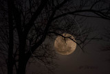 PERIGEE MOON