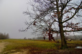 Winter mist in Chambord Castle