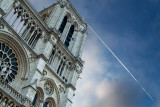 Flying away. Notre Dame de Paris