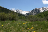 252_Ang-CO-2011-227.jpg