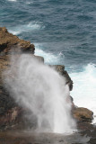 Maui 2011_051.jpg