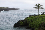 Maui 2011_150.jpg