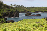 Maui 2011_155.jpg