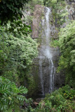 Maui 2011_175.jpg