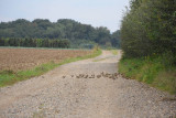 26e Wandeltocht in  Amby