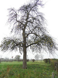 Herfstwandeling wc St. Blasius