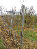 Herfstwandeling wc St. Blasius