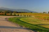 Yarra Valley Winery 3