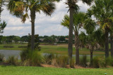 One of Many Golf Courses