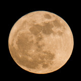 Mar 2011 'Super Moon' @ 7pm