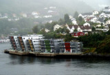 Modern Apartments in Bergen, Norway