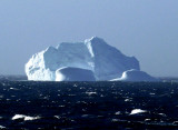 Biggest Iceberg We've Seen