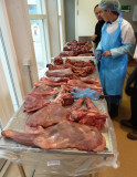 Meat & Fish Market, Nuuk