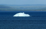 Face Shaped Iceberg in St. John Bay