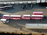 Shuttle Buses in the Port of Halifax, Nova Scotia