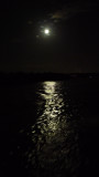 Moonlight Sailing on the Rhine