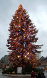 Strasbourg Christmas Tree