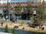 Fishing in the Beijing Moat