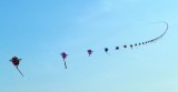 Interesting Chinese Kite in Xian, China