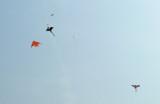 Flying Kites on a Beautiful Day in Xian, China