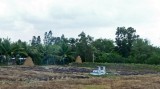Burned Rice Field, Stacks of Rice Straw, and the  Family Gravesite