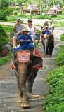 Richard & Susan on an Elephant