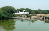 Pond in Rural India