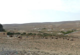 Jordanian Countryside