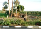 Farming on the East Bank of the Nile