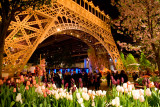 Springtime in Paris - The 2011 Philadelphia Flower Show
