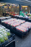 Flower market scene
