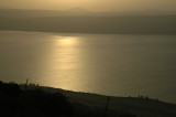 Kineret Landscape In Sunset