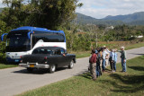 1st Bird Survey, guava orchard